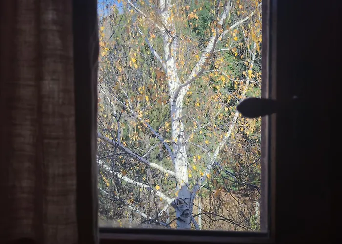 Cal Esquirol Enveitg